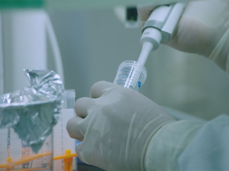 Bhí Díolúine Humoral agus Ceallach an Vacsaín Mrna Rsv I bhfad níos airde ná mar a bhí i dTáirgí a mhargaítear go hidirnáisiúnta Iarratas ar Thriail Chliniciúil sna S.A.